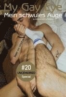 Rinaldo Hopf, Fedya Ili - Mein schwules Auge 20 / My Gay Eye, Häftad