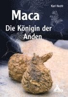 Karl Hecht - Maca - Die Königin der Anden, Häftad