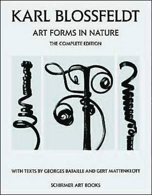 Gert Mattenklott, Karl Blossfeldt, Georges Bataille - Karl Blossfeldt: Art Forms in Nature, Inbunden
