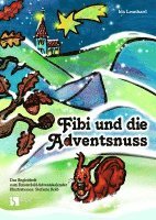 bokomslag Fibi und die Adventsnuss