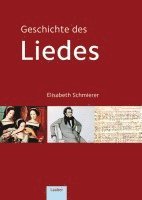 bokomslag Geschichte des Liedes