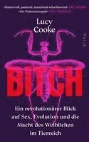 bokomslag Bitch - Ein revolutionärer Blick auf Sex, Evolution und die Macht des Weiblichen im Tierreich