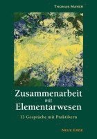 bokomslag Zusammenarbeit mit Elementarwesen