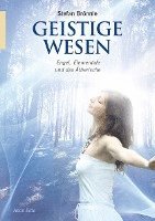 Stefan Brönnle - Geistige Wesen, Häftad. Tillgänglighet: Lägg i varukorg