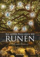 bokomslag Das große Praxisbuch der Runen