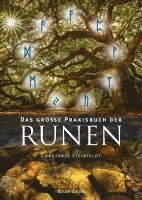Das große Praxisbuch der Runen