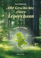 bokomslag Die Geschichte eines Leprechaun