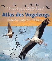 bokomslag Atlas des Vogelzugs