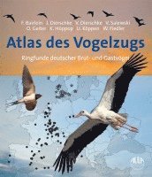 Atlas des Vogelzugs 1