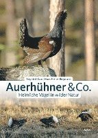 bokomslag Auerhühner & Co.
