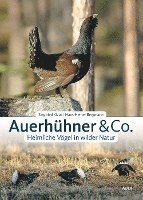 Siegfried Klaus, Hans-Heiner Bergmann - Auerhühner & Co., Inbunden