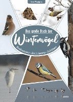 bokomslag Das große Buch der Wintervögel