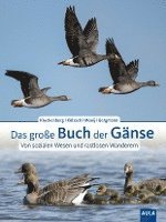 bokomslag Das große Buch der Gänse