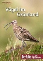 bokomslag Vögel im Grünland