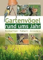 bokomslag Gartenvögel rund ums Jahr