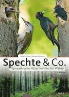 Spechte & Co. 1