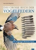 bokomslag Das große Buch der Vogelfedern