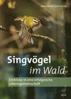 bokomslag Singvögel im Wald