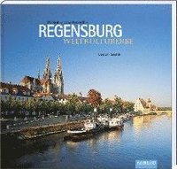 bokomslag Weltkulturerbe Regensburg