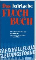 bokomslag Das bayerische Fluch-Buch