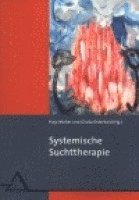 bokomslag Systemische Suchttherapie