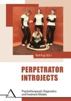 bokomslag Perpetrator Introjects