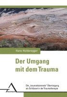 bokomslag Der Umgang mit dem Trauma