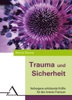 bokomslag Trauma und Sicherheit