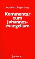 bokomslag Kommentar zum Johannes Evangelium