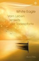 bokomslag Vom Leben jenseits der Todespforte