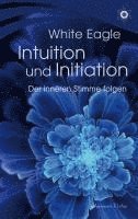 bokomslag Intuition und Initiation - Der inneren Stimme folgen