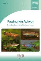 Faszination Aphyos 1