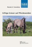 Giftige Gräser auf Pferdeweiden 1