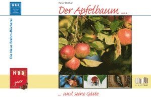 Peter Rüther - Der Apfelbaum, Inbunden