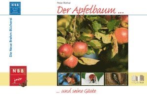 bokomslag Der Apfelbaum