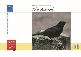 bokomslag Die Amsel