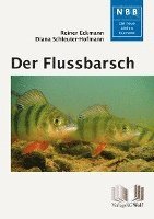 Der Flussbarsch - Perca fluviatilis 1