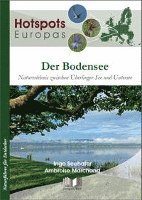 bokomslag Der Bodensee