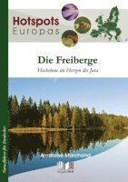 Die Freiberge 1