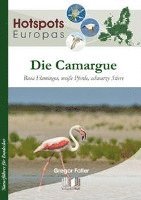 Die Camargue 1