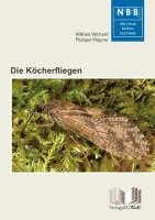 Die Köcherfliegen 1