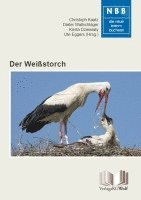 bokomslag Der Weißstorch