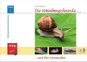 bokomslag Die Weinbergschnecke und ihre Verwandten