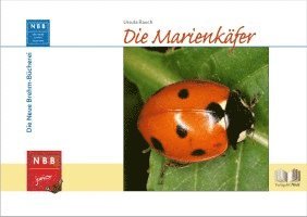 Ursula Rauch - Die Marienkäfer, Inbunden