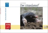 bokomslag Der Maulwurf