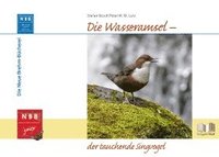 bokomslag Die Wasseramsel - der tauchende Singvogel