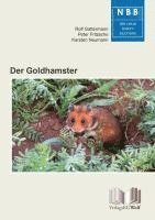 bokomslag Der Goldhamster