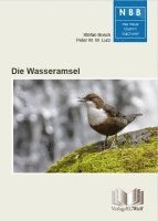 bokomslag Die Wasseramsel