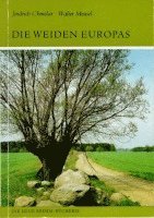 Die Weiden Europas 1