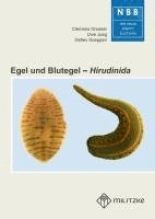 bokomslag Egel und Blutegel